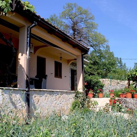וירפזאר Holiday Home Gazevic מראה חיצוני תמונה