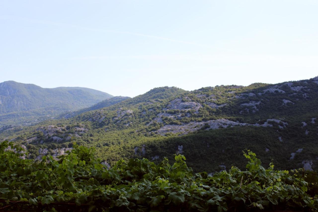 וירפזאר Holiday Home Gazevic מראה חיצוני תמונה